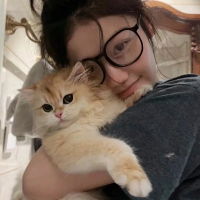 直言真相第一季